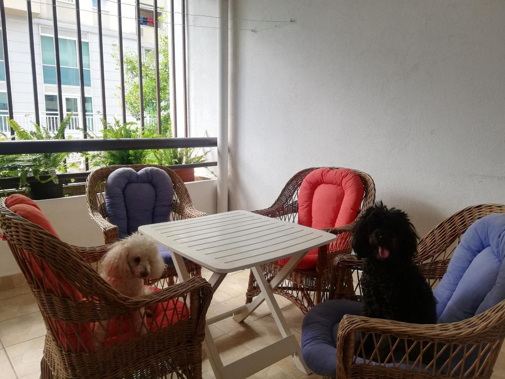 Apartment Centropolis 莫斯塔尔 外观 照片
